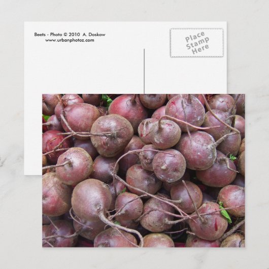 Bijen Briefkaart (Voorkant / Achterkant)