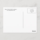 Bijen Briefkaart (Achterkant)