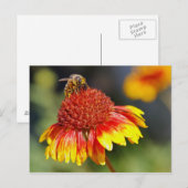 Bijen Briefkaart (Voorkant / Achterkant)