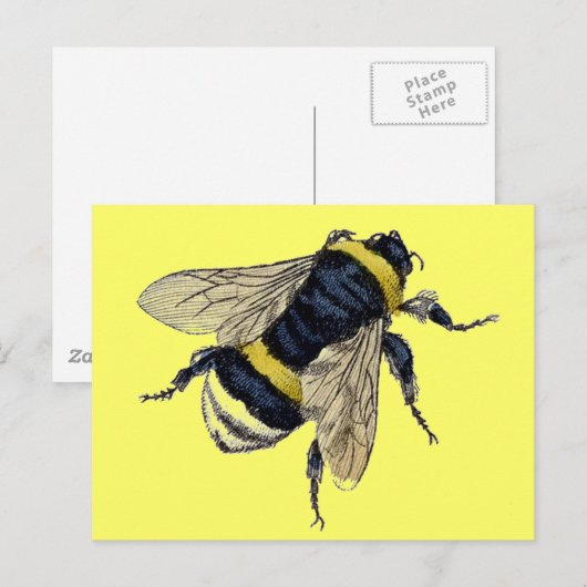  bijen briefkaart (Voorkant / Achterkant)