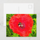 Bijen Briefkaart (Voorkant / Achterkant)