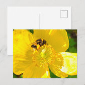 Bijen Briefkaart (Voorkant / Achterkant)