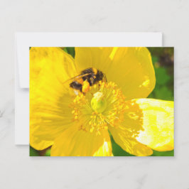 Bijen Briefkaart