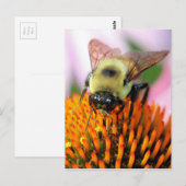 Bijen Briefkaart (Voorkant / Achterkant)