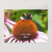 BIJEN BRIEFKAART (Voorkant)
