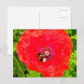 Bijen Briefkaart (Voorkant / Achterkant)