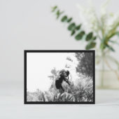 Bijen Briefkaart (Staand voorkant)