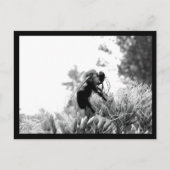 Bijen Briefkaart (Voorkant)