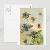 Bijen Briefkaart (Voorkant / Achterkant)