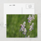 Bijen Briefkaart (Voorkant / Achterkant)