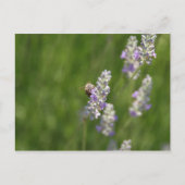 Bijen Briefkaart (Voorkant)