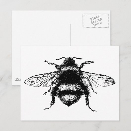  bijen briefkaart (Voorkant / Achterkant)