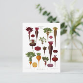 Bijen Briefkaart (Staand voorkant)