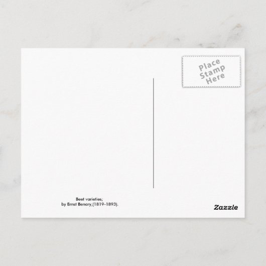 Bijen Briefkaart (Achterkant)