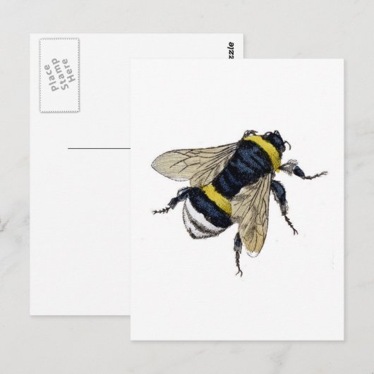 Bijen Briefkaart (Voorkant / Achterkant)