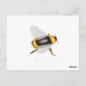 Bijen Briefkaart (Achterkant)