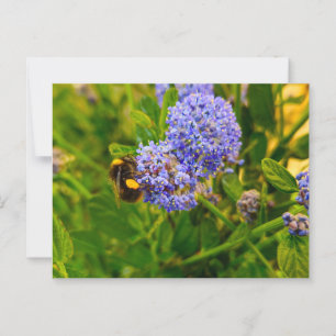 Bijen Briefkaart