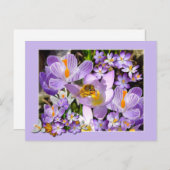 Bijen die Nectar verzamelen van het Briefkaart van (Voorkant / Achterkant)