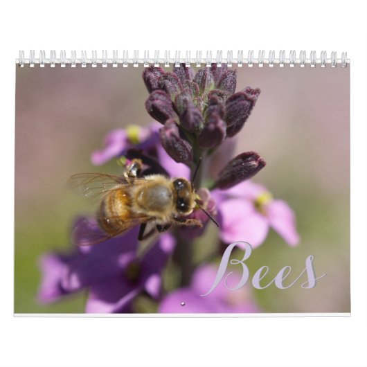 BIJEN DIY KALENDERS KALENDER (Hoes)