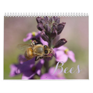BIJEN DIY KALENDERS KALENDER