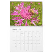 BIJEN DIY KALENDERS KALENDER (Feb 2027)
