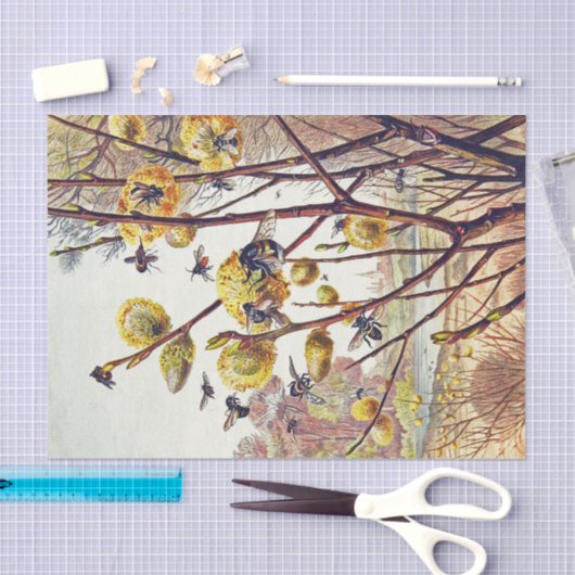 bijen doorsneden voorjaarsbloesem tissuepapier (Craft)