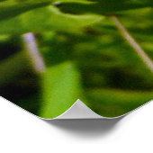Bijen en andelion poster (Hoek)