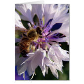 Bijen en blauw ventiel (Voorkant)