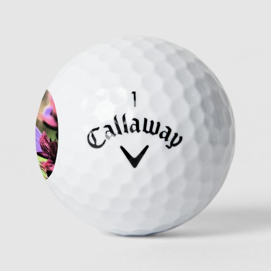 Bijen en Bloem cwb gbcna Golfballen (Logo)