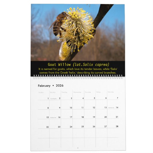 Bijen en bloemen 2025 Kalender (Feb 2026)