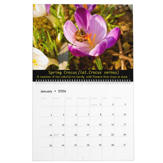 Bijen en bloemen 2025 Kalender (Jan 2026)