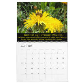 Bijen en bloemen 2025 Kalender (Mar 2027)