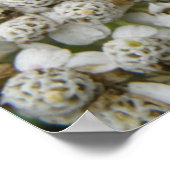 Bijen- en Bloemenposter Poster (Hoek)