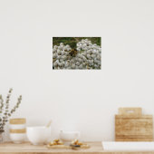 Bijen- en Bloemenposter Poster (Keuken)