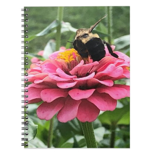 Bijen en bloesem notitieboek (Voorkant)