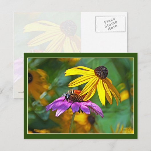 Bijen en bloesems briefkaart (Voorkant / Achterkant)