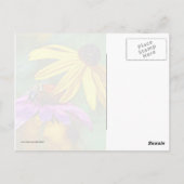 Bijen en bloesems briefkaart (Achterkant)