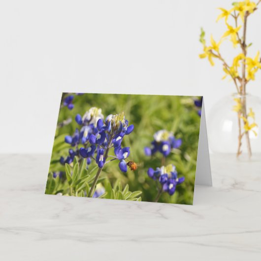 Bijen en Bluebonnets de Kaart van de Manuscript 2  (Gele Bloem)