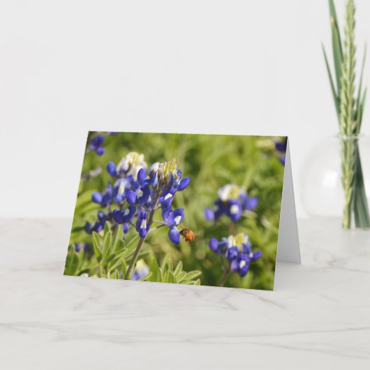 Bijen en Bluebonnets de Kaart van de Manuscript 2  (Voorkant)
