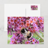 Bijen en boeddleia briefkaart (Voorkant / Achterkant)