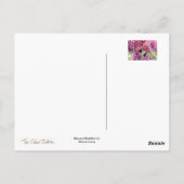 Bijen en boeddleia briefkaart (Achterkant)