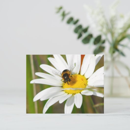 Bijen en Daisy Briefkaart (Staand voorkant)