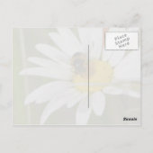 Bijen en Daisy Briefkaart (Achterkant)