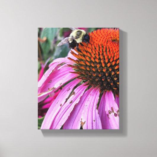 Bijen- en Echinacea Nep Ingepakt Canvasprint Canvas Afdruk (Voorkant)
