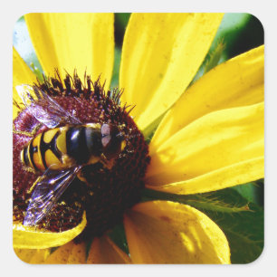 Bijen en gele bloem vierkante sticker