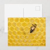 bijen en honingraat feestdagenkaart (Voorkant / Achterkant)