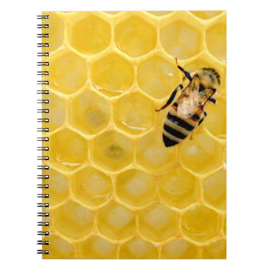 bijen en honingraat notitieboek (Voorkant)