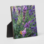 Bijen en lavender fotoplaat (Voorkant)