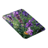 Bijen en lavender magneet (Rechterzijde)