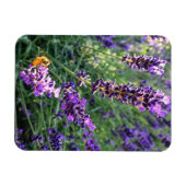 Bijen en lavender magneet (Horizontaal)